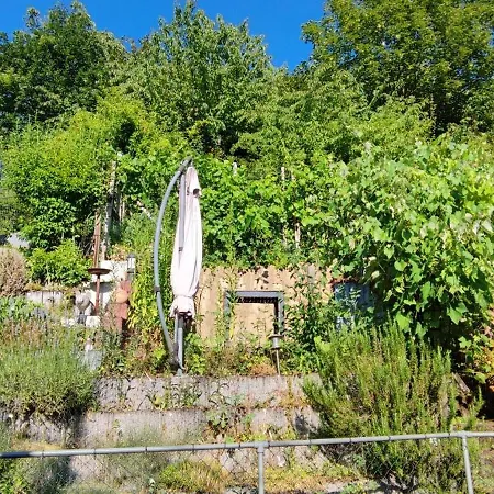 Moselperle - Mit Blick Auf Weinberge Apartment